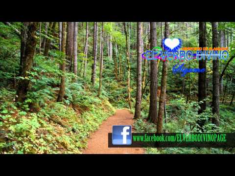 El Verbo Divino - Sigame