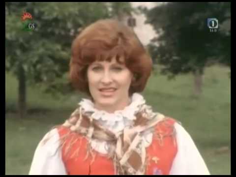 Ansambel bratov Avsenik - Sanjam o domovini