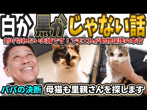 割り切れない夫婦が向き合った現実 白か黒かでは語れない現場の話