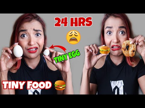 I Ate TINY FOOD For 24 HOUR CHALLENGE - Chicken GALOUTI KABAB Recipe - MINI Food Challenge INDIA