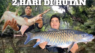 Download lagu Camping hujan deras 2 Hari di hutan Mencari ikan Toman sungai Masak Makan Bushcraft camp Overnight mp3 Download lagu Camping hujan deras 2 Hari di hutan Mencari ikan Toman sungai Masak Makan Bushcraft camp Overnight mp3