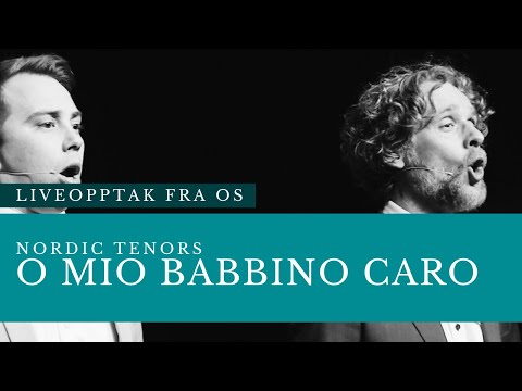 Nordic Tenors // O mio babbino Caro