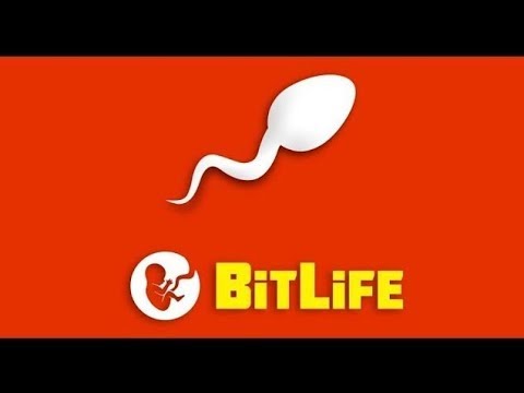 BitLife: Life Simulator - Nueva vida en Per� (Parte 1) - Es una locura adictiva!!! - YouTube