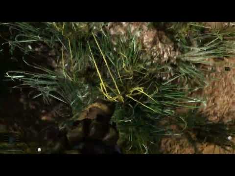 STALKER Anomaly 1st Person Visible Body Showcase