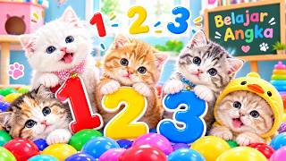Download lagu ANAK KUCING MEONG MEONG | Lagu Anak Anak | Lagu Anak Indonesia Populer Si Meong Kucing Lucu mp3