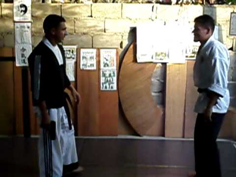 tec l combat gun kote impacto (rio ashi dori) sensei luis valero