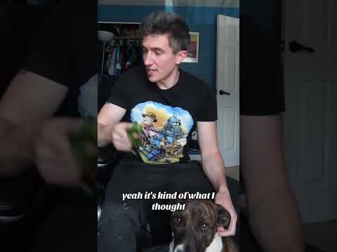 @Jose.elCook #aguadepepino #Gurke #Getränkerezept #Sommergetränk