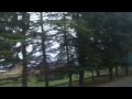 По Абхазии очень интересный рассказ гида 