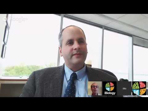 Live Q&A with NIGMS Director Jon Lorsch, May 7th, 10 AM PDT/1 PM EDT