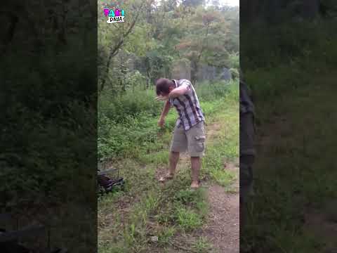 What's Up with the Skunk #viral #shorts #skunk