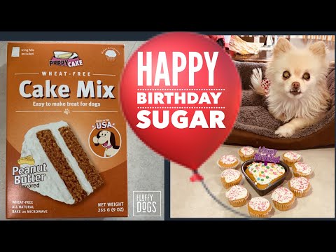 download lagu mp3 mp4 Where Can I Buy Dog Cake Mix, download lagu Where Can I Buy Dog Cake Mix gratis, unduh video klip Where Can I Buy Dog Cake Mix