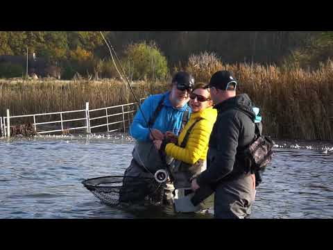 The science of shallow water sea trout fishing!