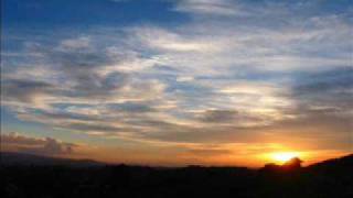 Making April - Roses and Butterflies