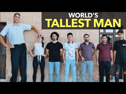 世界最高的人 (World's Tallest Man)
