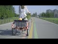 Viribus 3 Wheels Adult Tricycle