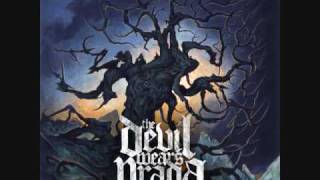 The Devil Wears Prada - Big Wiggly Style