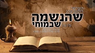 הערשי רוטנבערג - שהנשמה שבמוחי | Hershi Rottenberg - Shehaneshumu