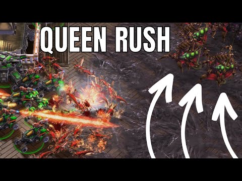 WardiTV Winter Invitational | Kelazhur's Highlights