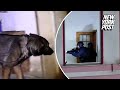 WATCH Italian Police Arrest 181 Suspects In Connection With Mafia Organized Crime