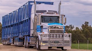 Engineered for Truckers - Ultima 215 LED Driving Lights