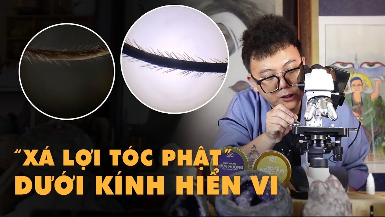 Sự Thật dưới Kính Hiển Vi thì “Tóc Phật” có phải là Cỏ Pili không?