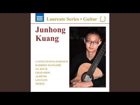 36 Caprices, Op. 20: No. 7 in A Major. Prestissimo