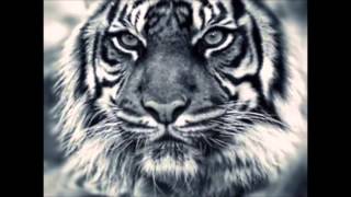 JAMES BROWN ~ TALKIN' LOUD AND SAYING NOTHING (PARTS 1 & 2)