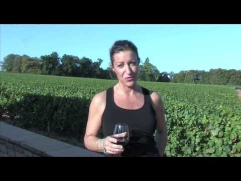 Beaujolais Nouveau Vieilles Vignes 2016 - Anne PICARD