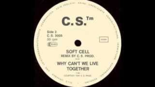 Timmy Thomas - Why Can't We Live Together - C.S. tm Remix