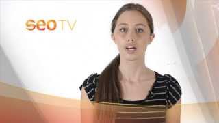 Google Analytics The Basics Explained, Google Analytics Traffic & Goal Reporting