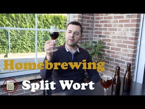Split Wort Homebrew Experience