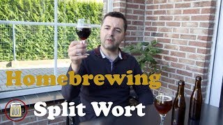 Split Wort - Homebrew Experience