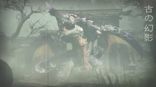 モンハンライズ　　HR20～のんびり進行中🏃‍♀️