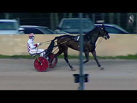 Aversa trotto 5 Febbraio 2022 - 6° Corsa