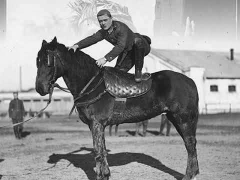 Roaring 1920s: Paul Whiteman and His Orch. - I'm Just Wild About Harry, 1922