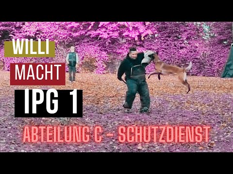 IGP 1 Schutzdienst - Abteilung C - IGP-Sport