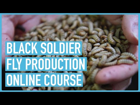 Profitable Pig Farming and Best Practices for success Course Outline