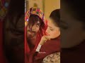 Begum ️ Bagair Badshah Kis Kaam Ka WhatsApp Status
