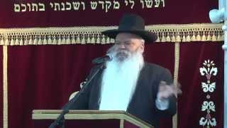 והיה כעץ שתול | סדרת עוצמת התורה | הרב דניאל זר