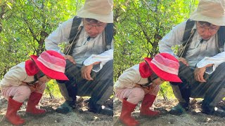 きっかけは３歳女児「これ何？」　八重山で初確認された寄生バチ　[Japan News]研究者の父「くやしいけど嬉しい」