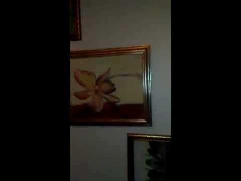 Meet Piglet & Little One