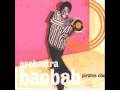 Orchestra Baobab - Coumba 
