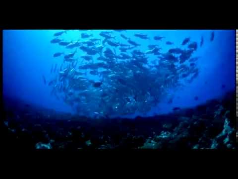 Oceanlab (feat Justine Suissa) - Sirens Of The Sea