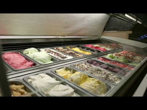 Celfrost CF-582 - Celfrost Big Capacity High Performance Deep Freezer at Skycon Appliances