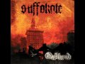Suffokate - The Skies Were Filled With Fire 