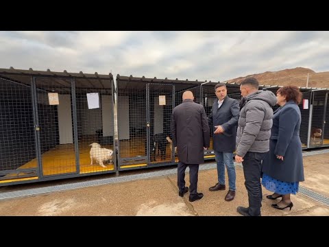 Info - Proširuju se kapaciteti prihvatilišta za pse (TV KCN 07.11.2025)