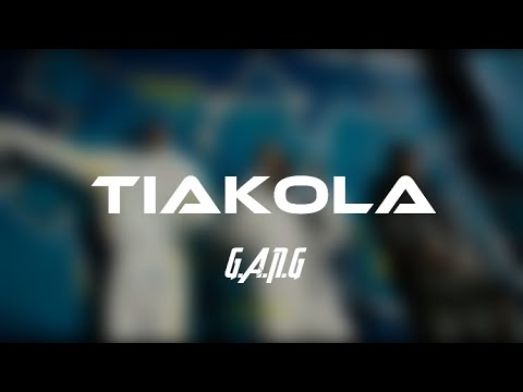 Tiakola x Niska x La Mano 1.9 - G.A.N.G (Paroles/Lyrics)