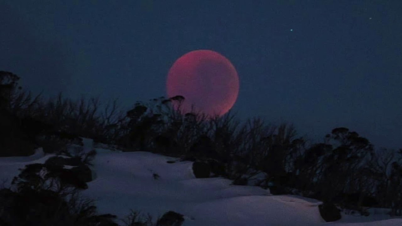 5 Star Training 2018 Video