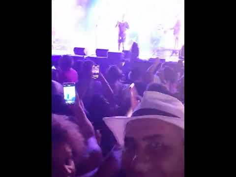 gente de zona latino Milano