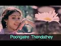 Poongatre Thendathey Mohan Ilavarasi Kunguma Chimizh Super Hit Romantic Song